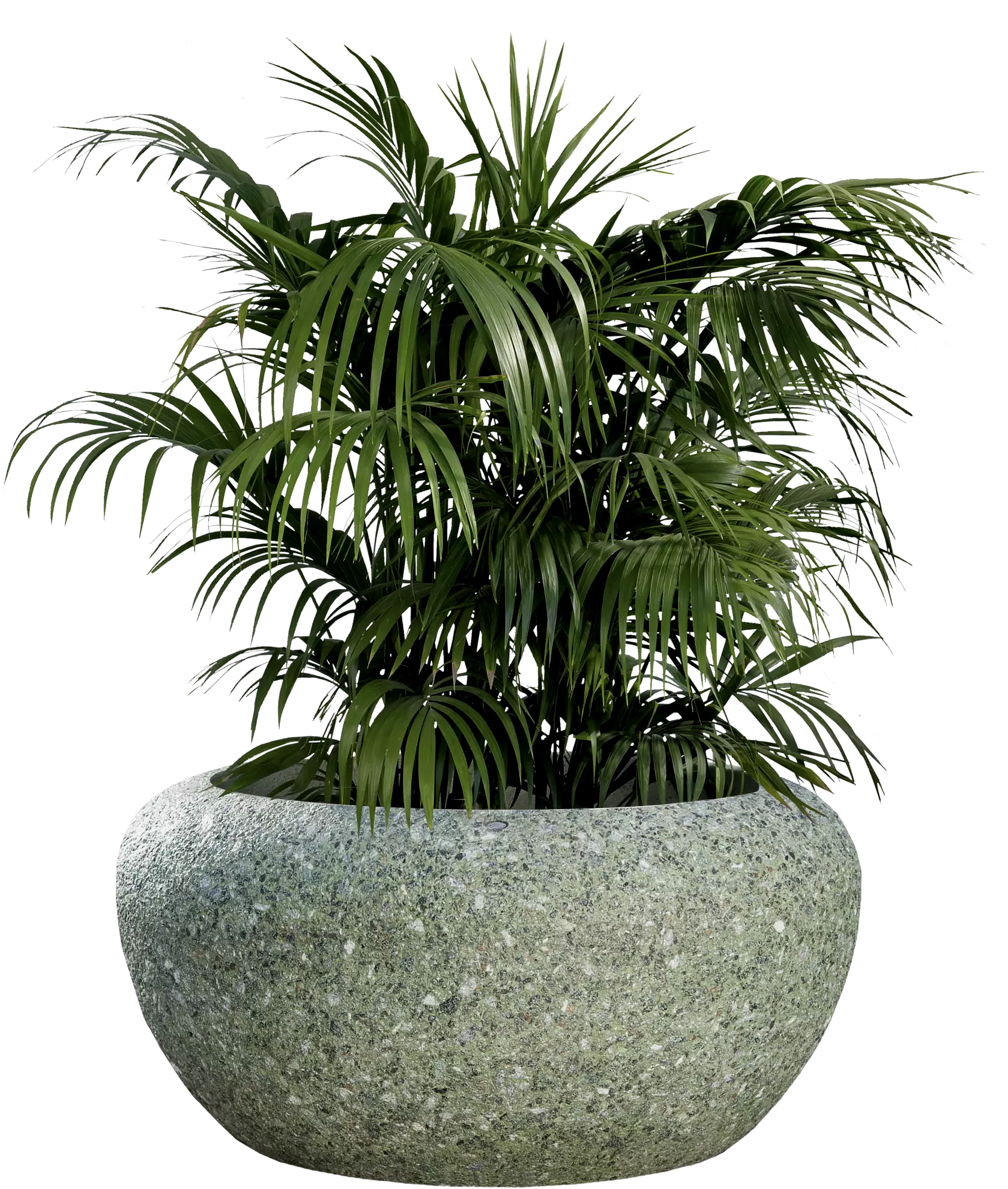 Vorschau: Pflanzbehälter GIOVE Vorschau: Pflanzbehälter GIOVE